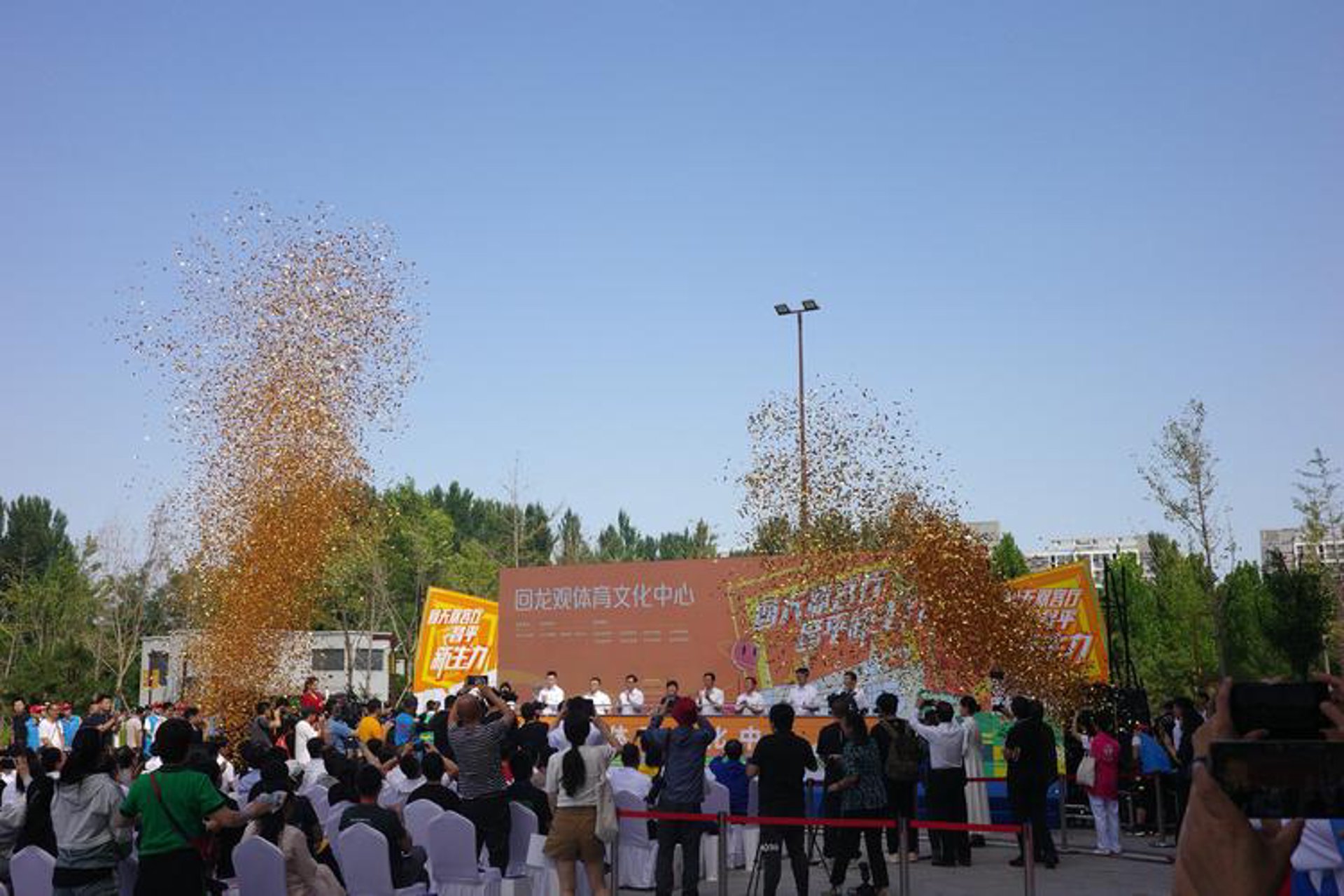凤儿文化传播
